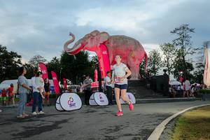 BIB: 
                            <button type="button" onclick="openModal(26529396)" class="btn btn-primary btn-sm float-right btn-popup" data-toggle="modal" data-target=".modal-high-quality">
                        <i class="fas fa-shopping-cart"></i> Add to Cart
                    </button>
                                            <button type="button" onclick="isThisMe(26529396, true)" class="btn btn-success btn-sm float-right btn-popup btn-isme hidden" data-toggle="tooltip" data-placement="bottom" title="นี่คือรูปของคุณใช่ไหม คลิกที่นี่เพื่อเอาเข้าอัลบั้ม">
                        <i class="fas fa-plus"></i> Add to album
                    </button>
                    <button type="button" onclick="isThisMe(26529396, false)" class="btn btn-warning btn-sm float-right btn-popup btn-isnotme hidden">
                        <i class="fas fa-ban"></i> Remove from album
                    </button>